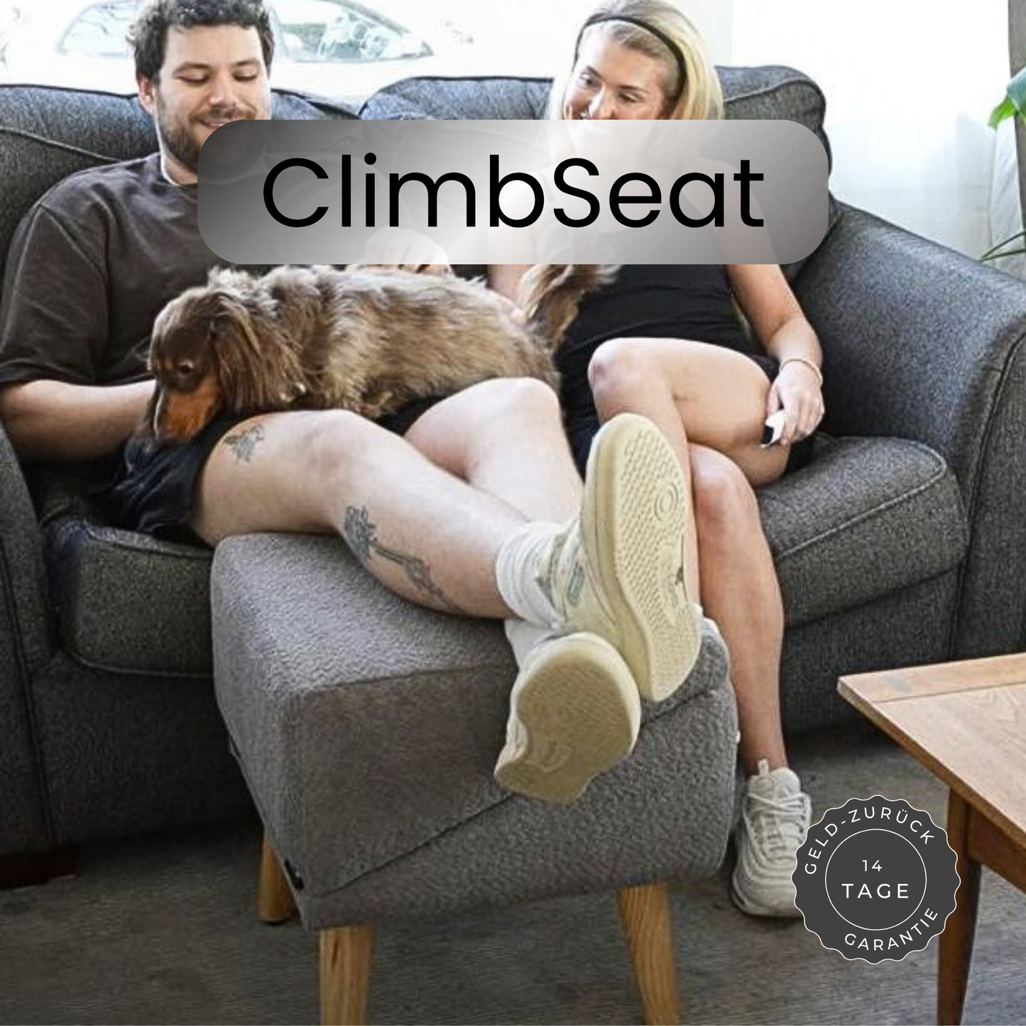 ClimbSeat