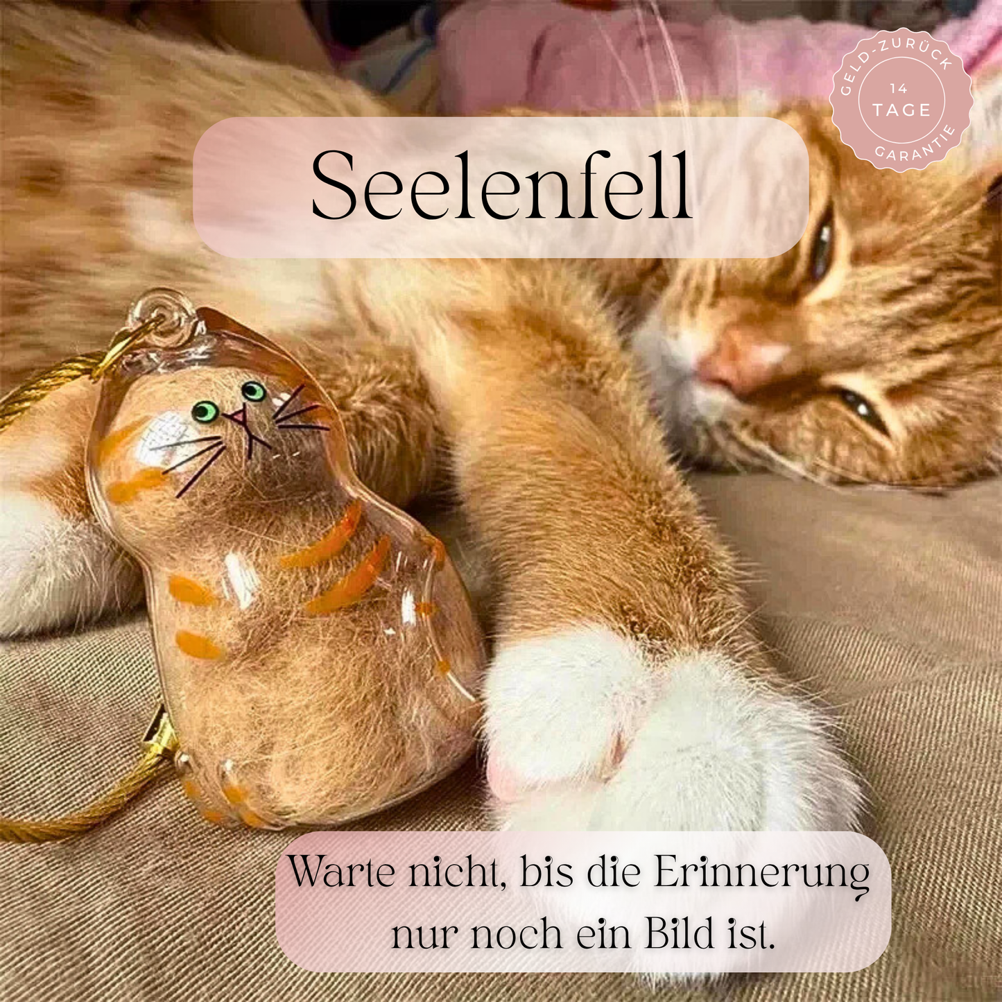 Seelenfell