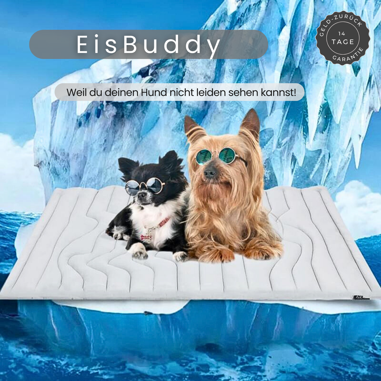 EisBuddy