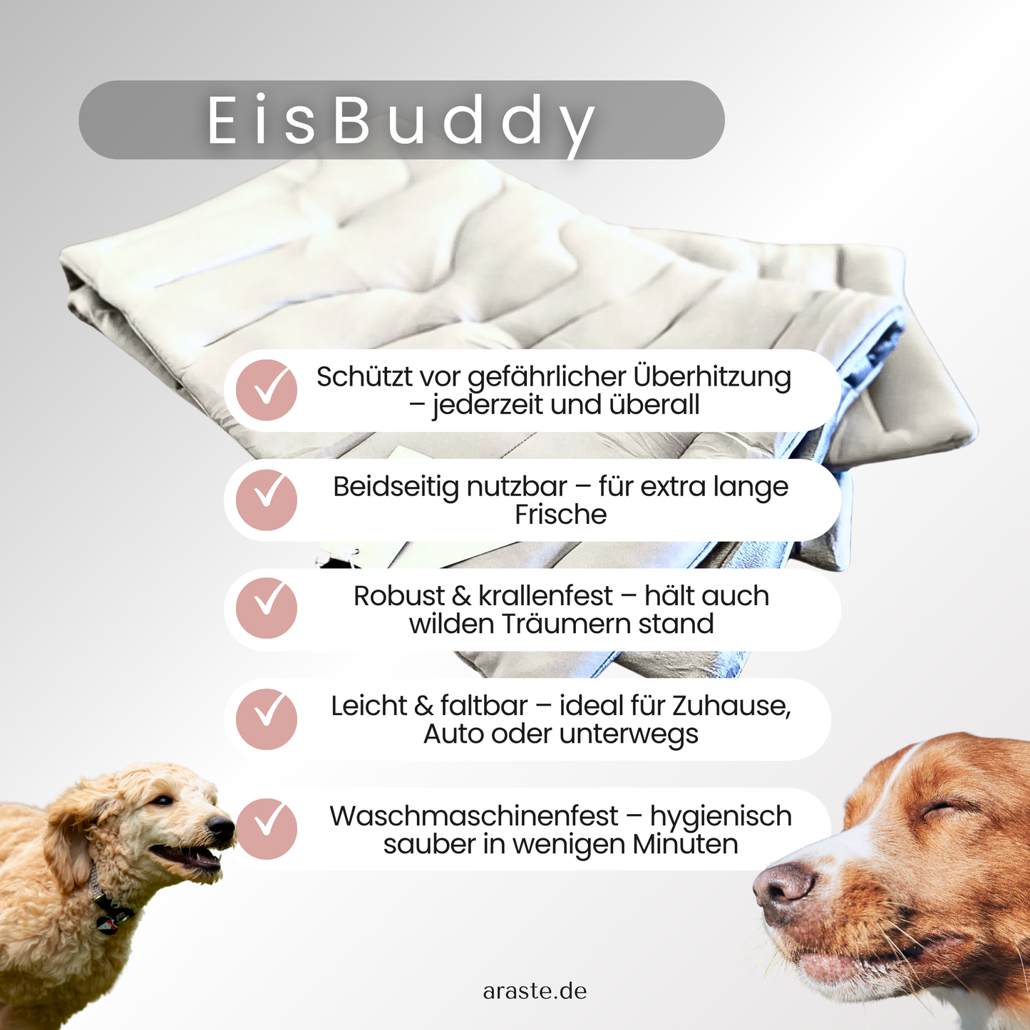 EisBuddy