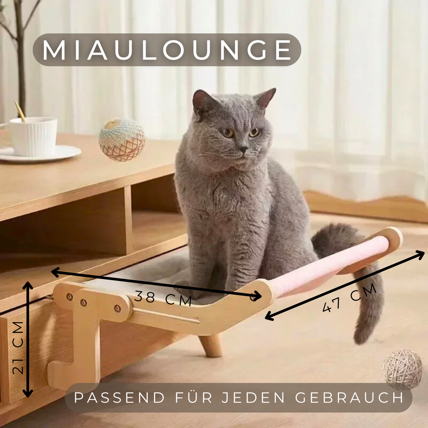 MiauLounge