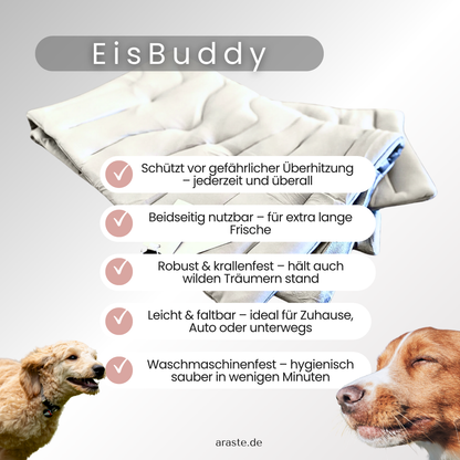 EisBuddy