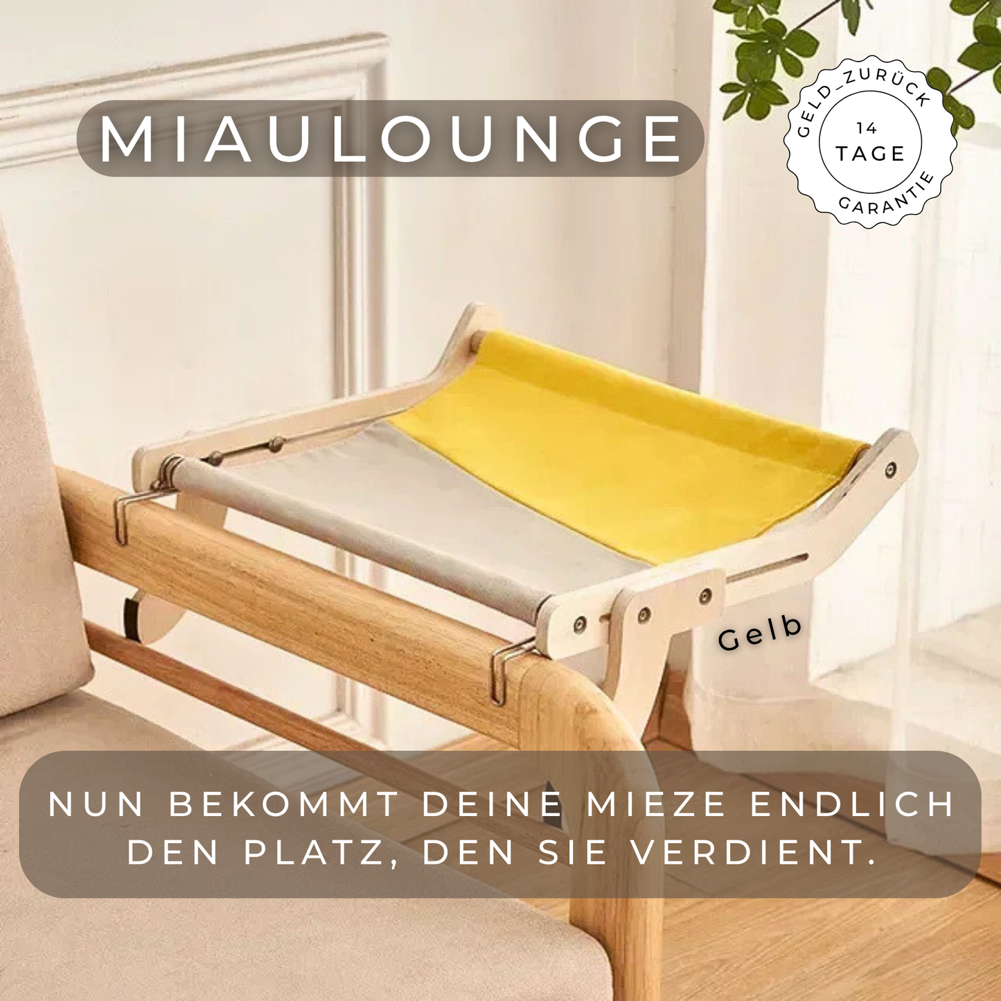 MiauLounge