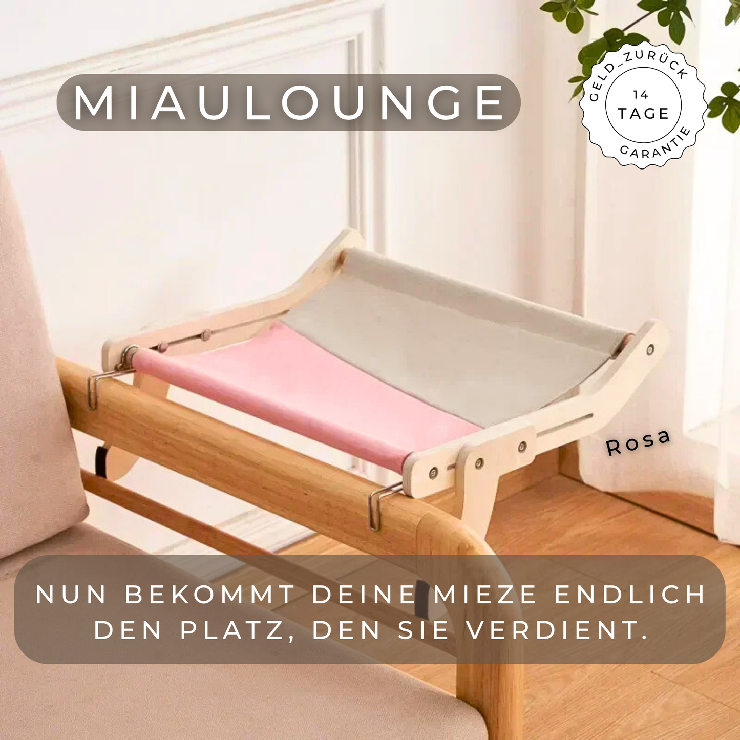 MiauLounge