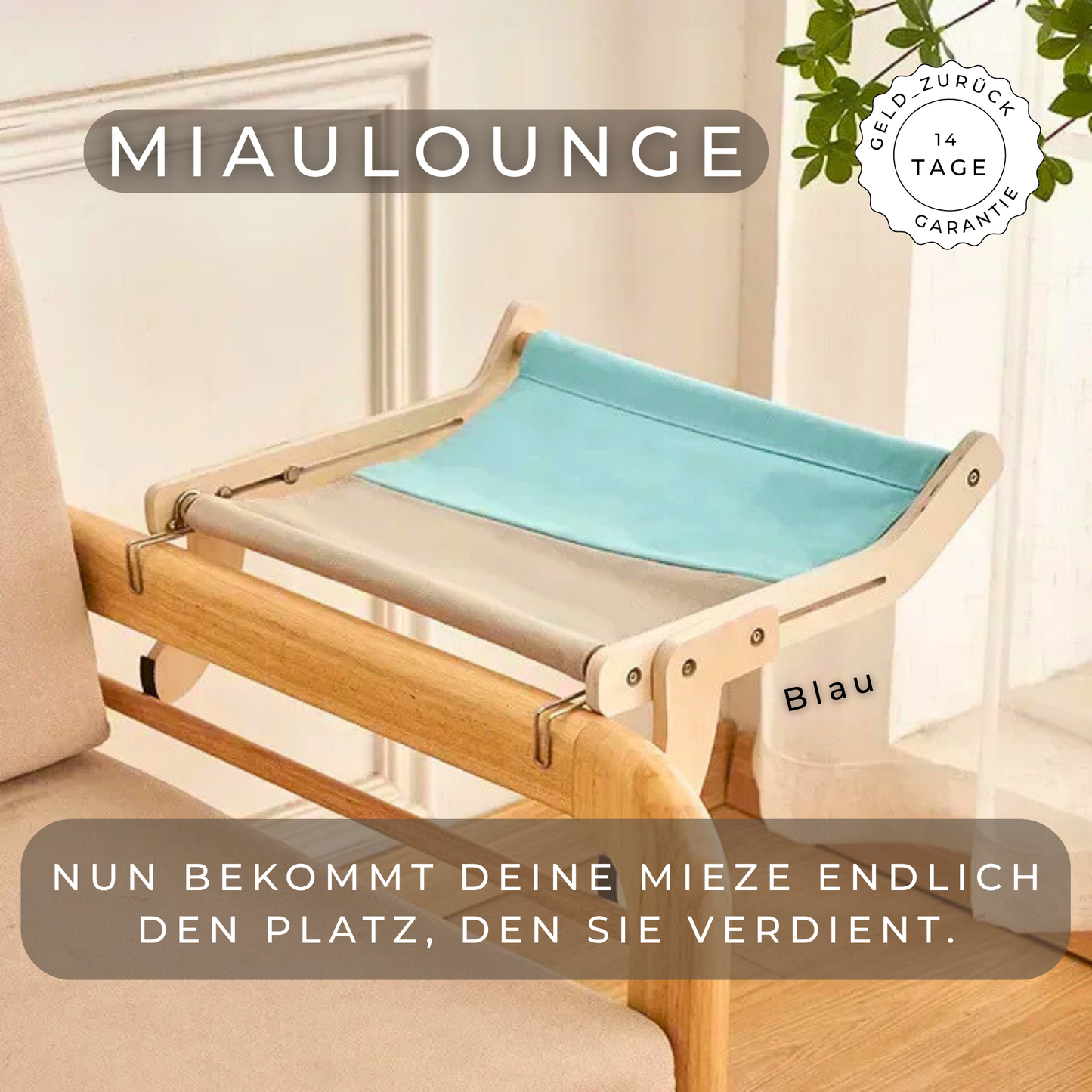 MiauLounge