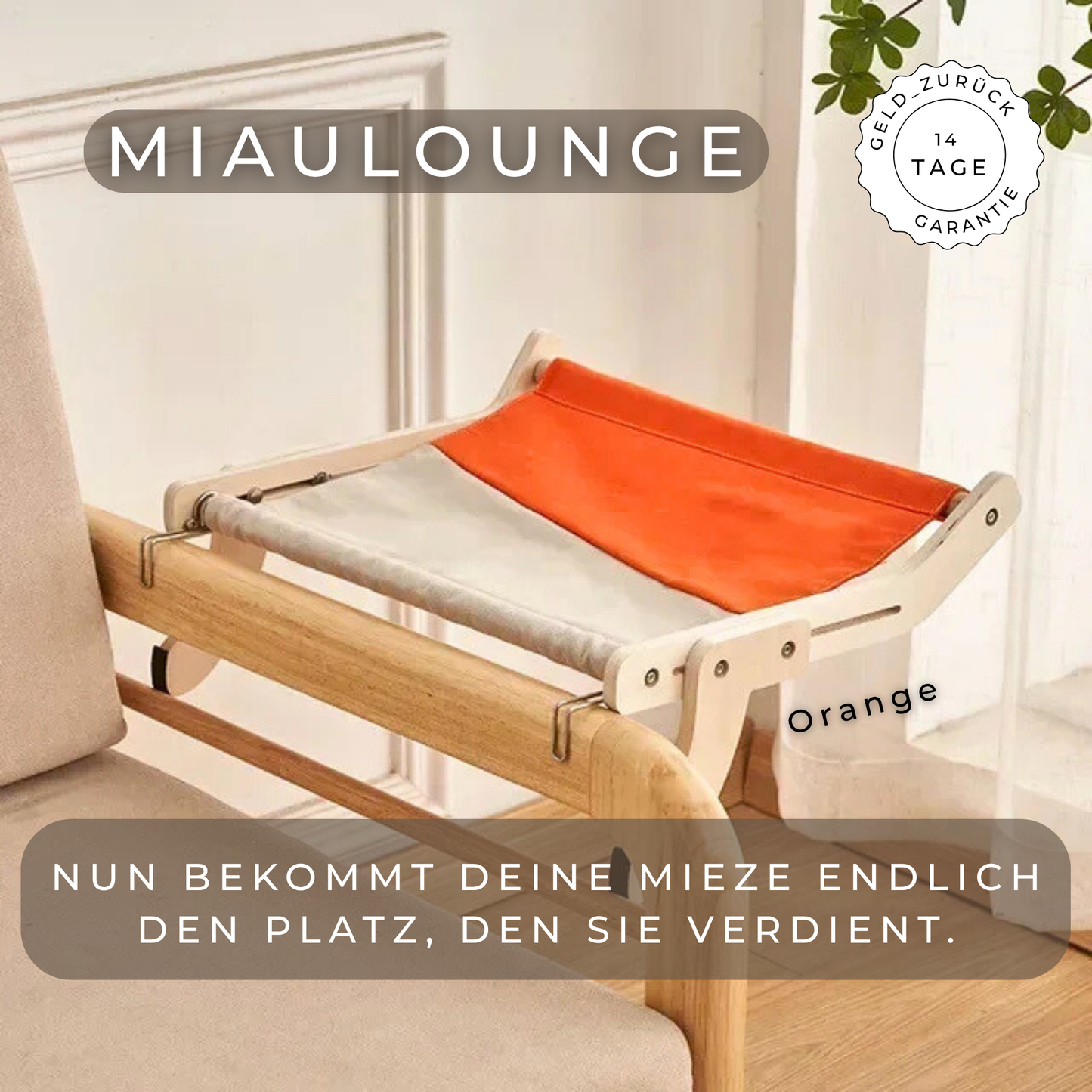 MiauLounge