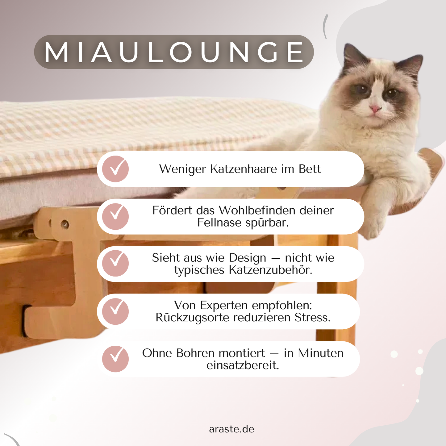 MiauLounge